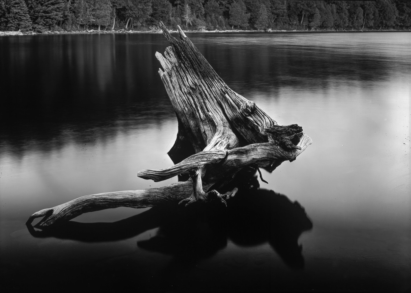 Weathering the Shallows - A 5x7 paper negative shot by Don Kittle on ILFORD Mutigrade paper
