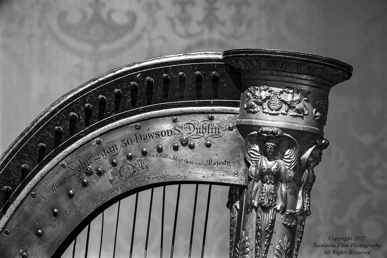 @TassieFilm#ilfordphoto #shotwithpanf Camera: 1952 Leica IIIf Lens: 1958 Leitz 13.5cm Hektor Film: bulk loaded 135 Pan F+; Exposure: One of several Bulb Exposures between 2-4 minutes @ f/11. Development: ID-11 1+3 20C/17.5m 1825 harp by John Egan, Dublin, Ireland