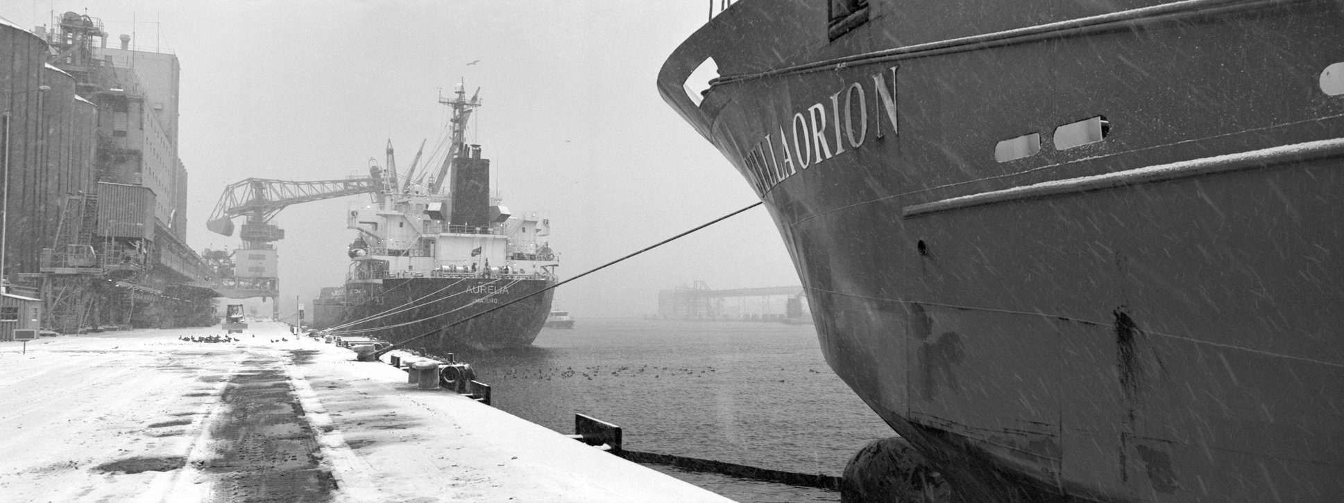 @MikoPoloczanskiA winter morning in the harbour. Gdynia. Hasselblad Xpan II +45/4; Ilford xp2 super. Polska panoramiczna. #ilfordphoto #Hasselbladxpan #35mmphotography #nautical #fridayfavourites #panophotos #polskapanoramiczna #analogphotography #ilfordxp2 #analogforever