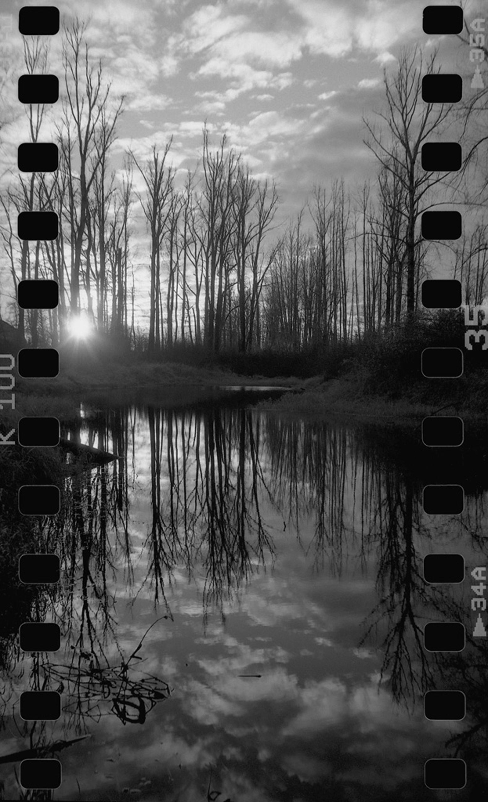 @1brsc1Reflections upon the day at sunset. #ilfordphoto #fridayfavourites #nature #Reflections #trees