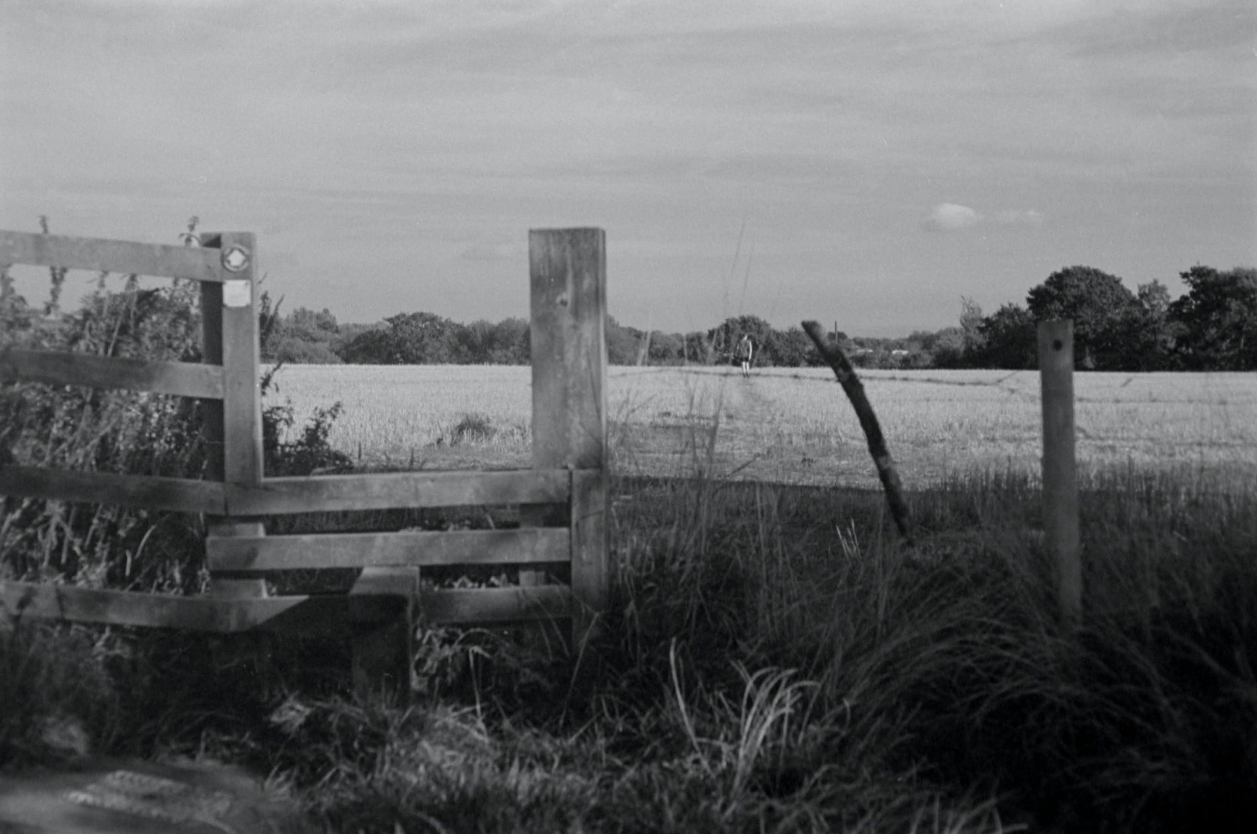 @Gravmadboris#ilfordphoto #fridayfavourites A stile that is a pain for me to navigate. Kentmere 400 Olympus OM101 50mm f/2 power focus lens