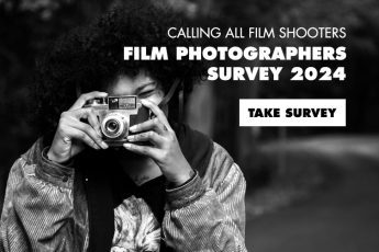 Film Survey 2024