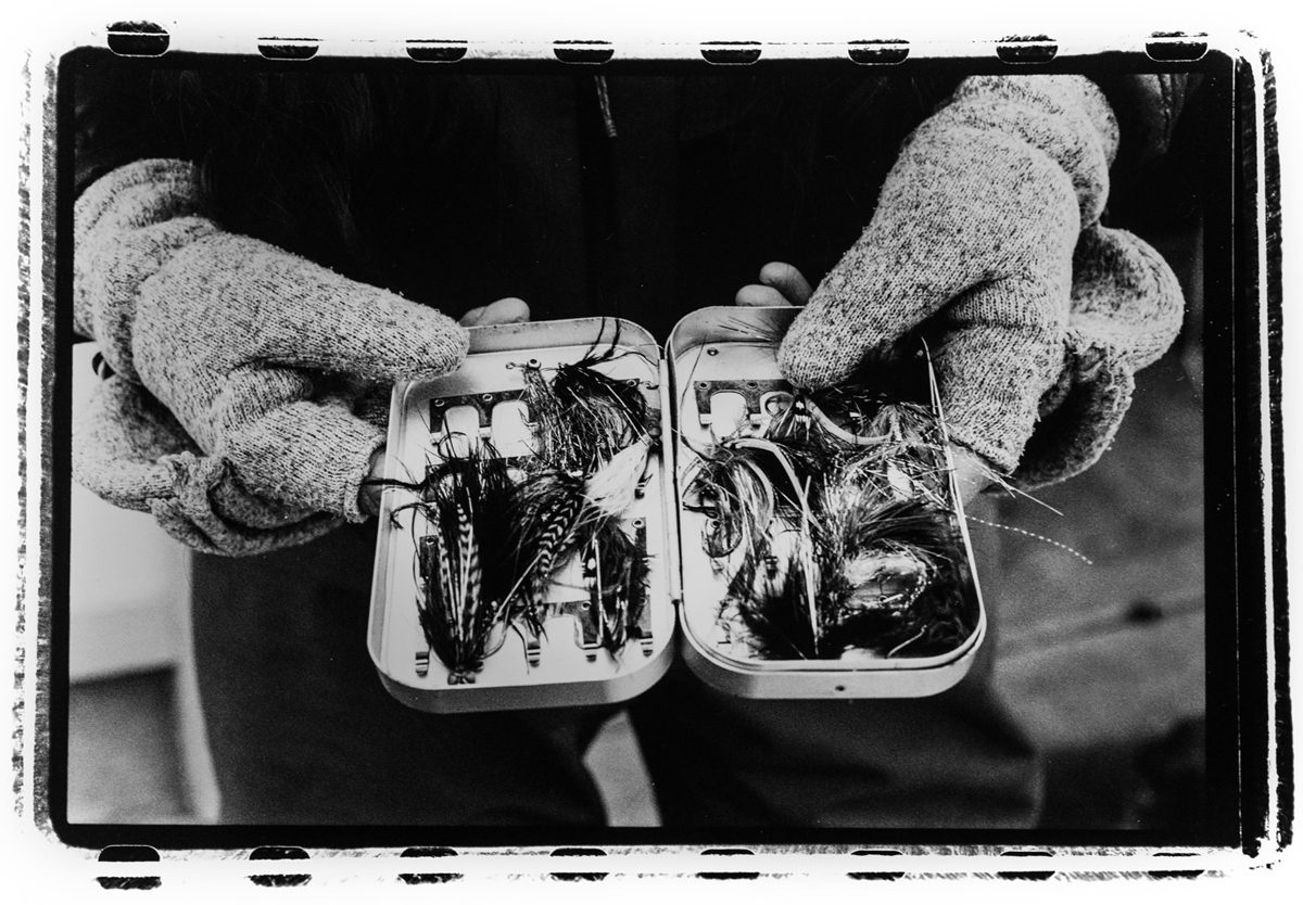 Arian Stevens. Black and white darkroom print of fish in a tin.