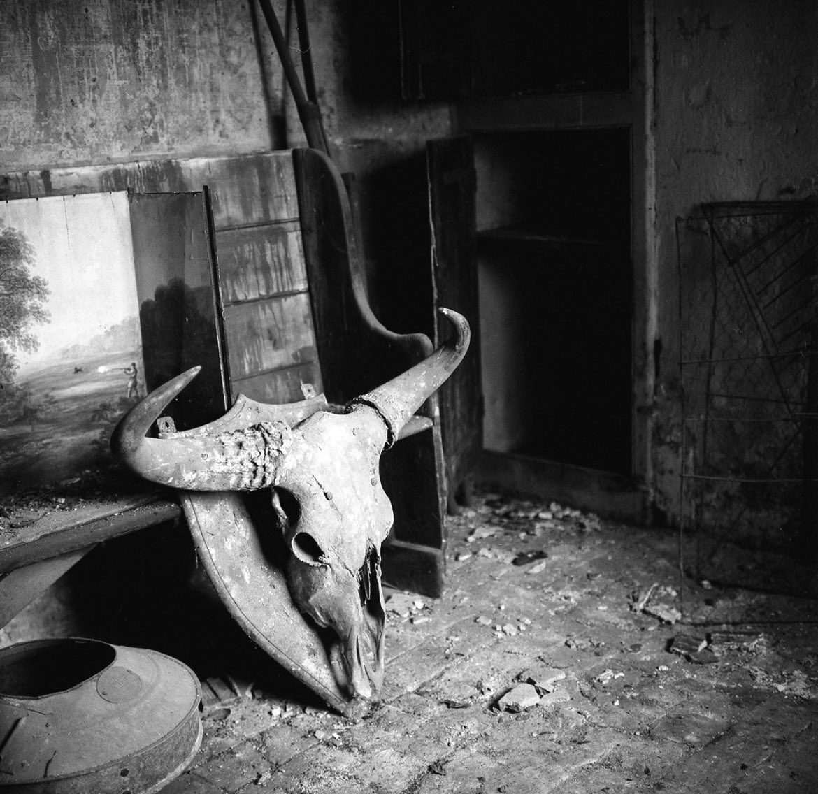 Friday Favourites #spookyfilm. Black and white picture of a skull on the floor.