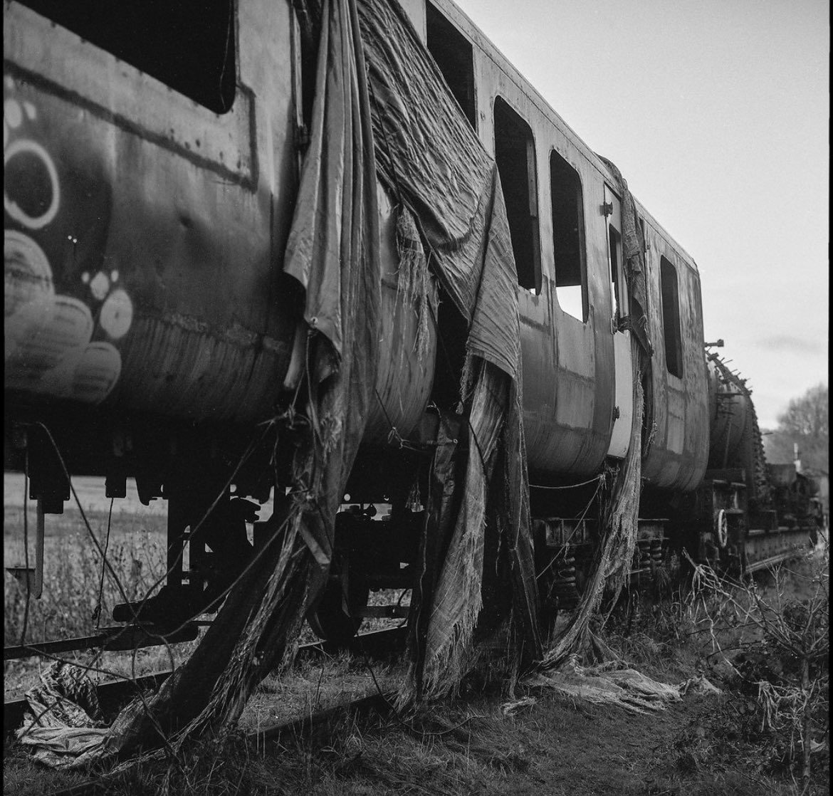 Friday Favourites #spookyfilm. Black and white picture of an abandoned train.