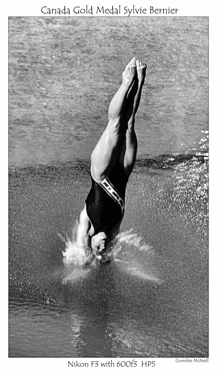 Crombie McNeill. Black and white shot of a diver diving into a pool