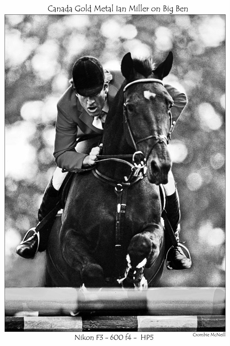 Crombie McNeill. Black and white shot of horse race in action.