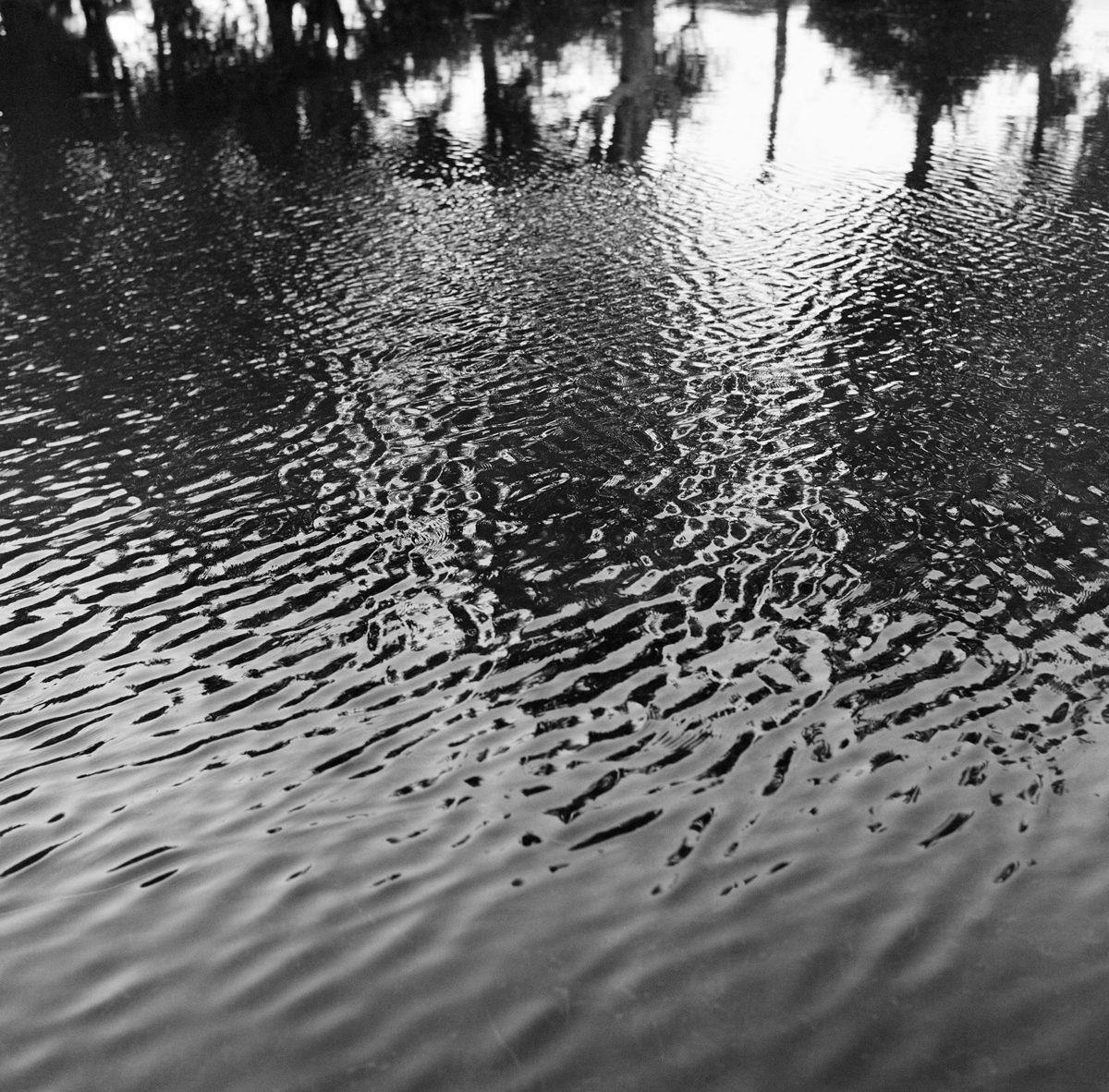 Black and white reflection and ripples in the water.