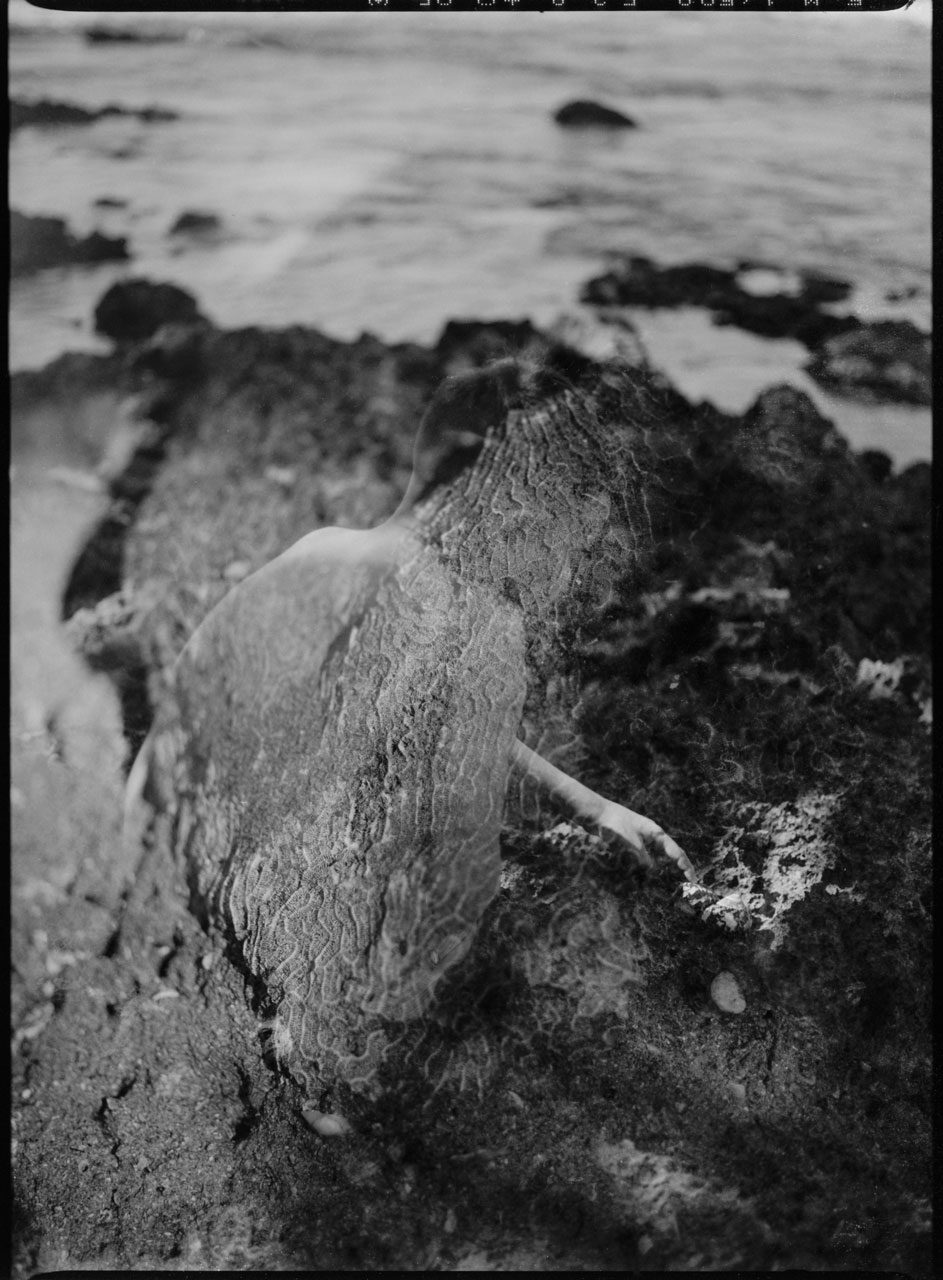 Clarissa Sofia. Black and white picture of a beach.