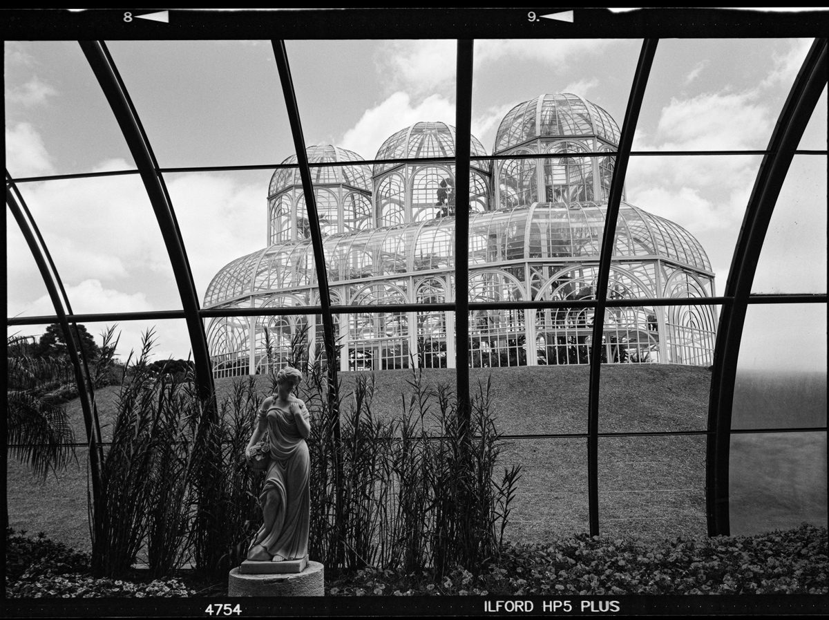 Friday Favourites #themefree. Black and white picture of being inside a greenhouse with a view of a large greenhouse.