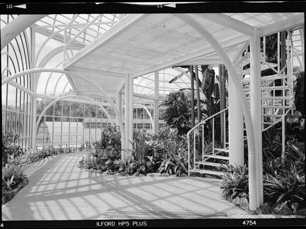 Friday Favourites #bestof2024. Black and white shot of a garden house indoors.